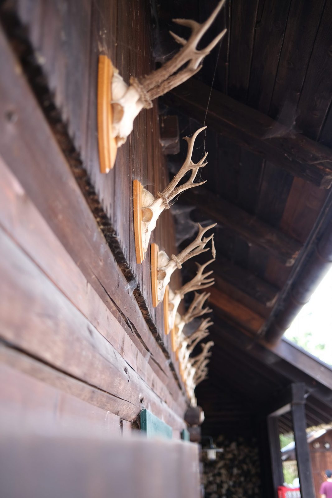 Drehmöser Hütte Drehmöser Hütte