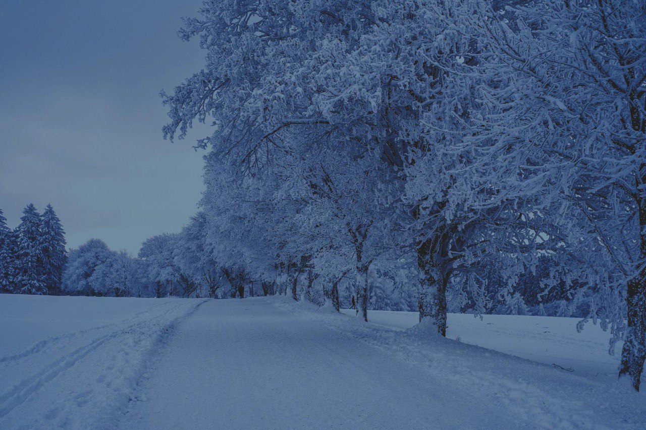 Winter Jazz Night